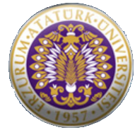 دانشگاه آتاتورك 